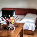 Comfort L'acacia Hotel Lourdes